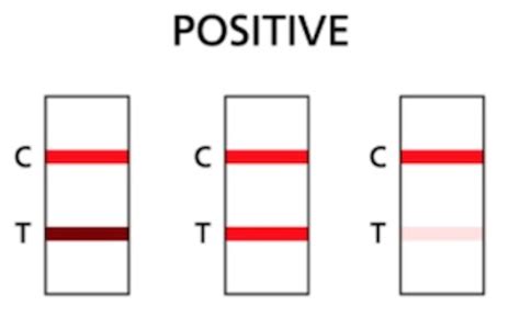 rapid test line thickness|brighter line on rapid test.